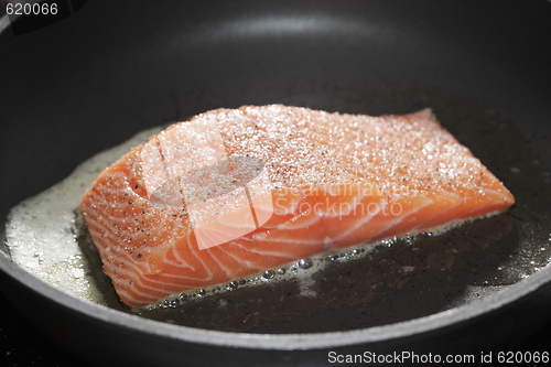 Image of Salmon