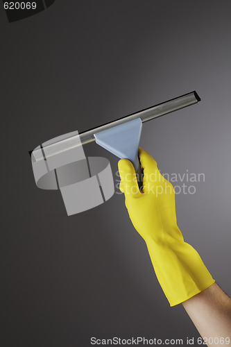 Image of Squeegee