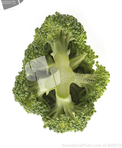 Image of Broccoli