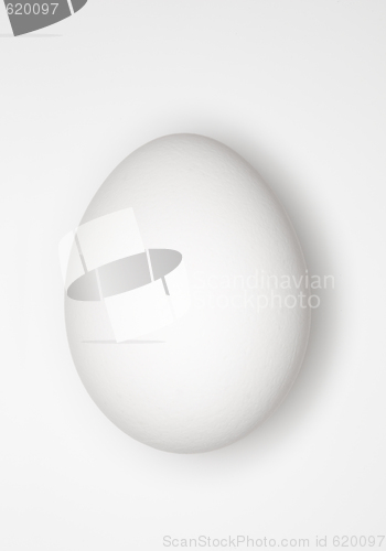 Image of Egg