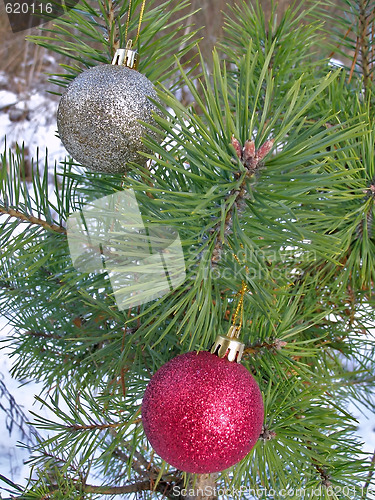 Image of Christmas tree