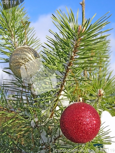 Image of Christmas tree and sky