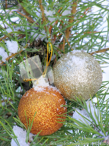 Image of Christmas balls