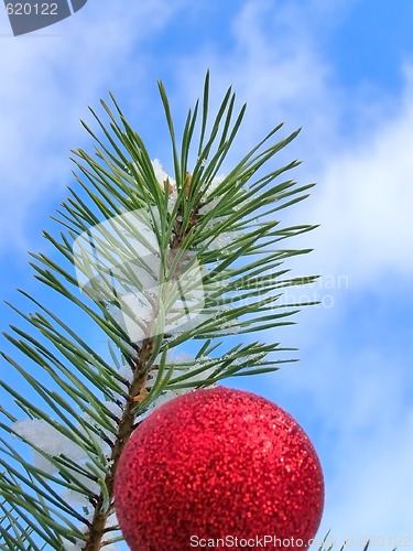 Image of Christmas tree against blue sky
