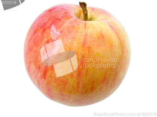 Image of Red apple on white