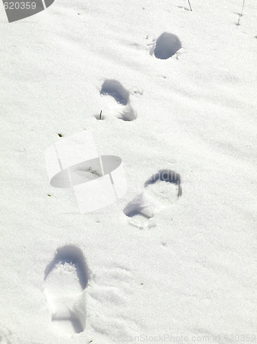 Image of Foot print