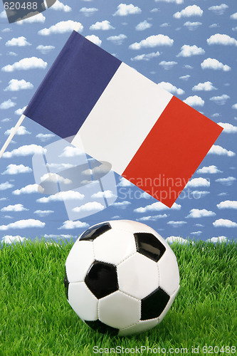 Image of French soccer