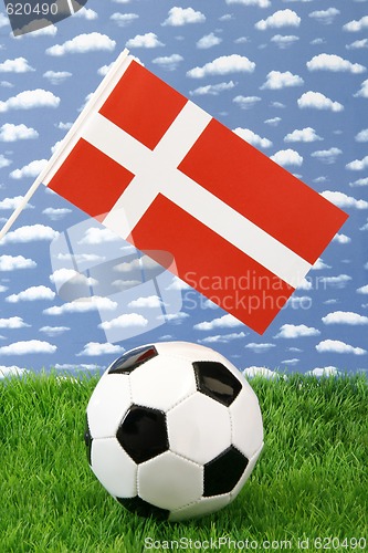 Image of Danish soccer