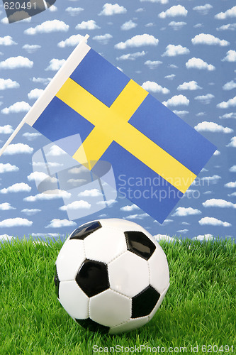 Image of Swedish soccer