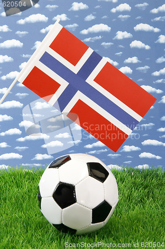 Image of Norwegian soccer