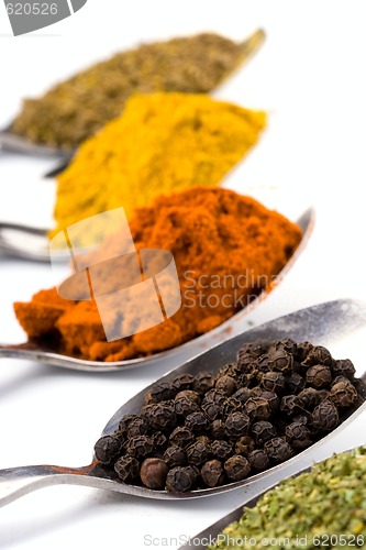 Image of metal spoons with spices