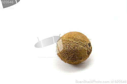 Image of Coconut