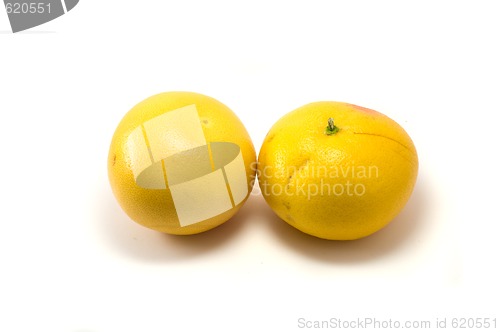 Image of Two grapefruits