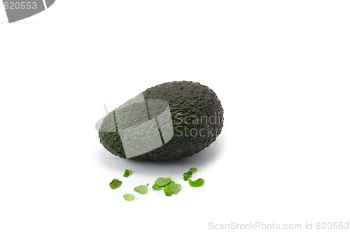 Image of Avocado