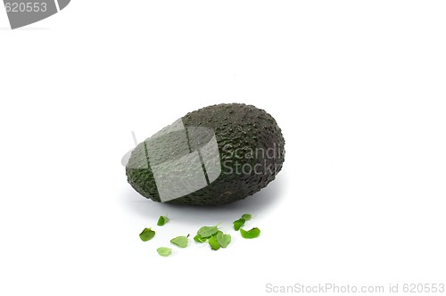 Image of Avocado