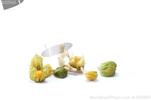 Image of Wooden man with physalis
