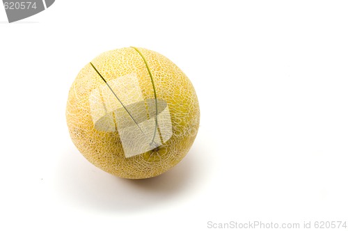 Image of Melon