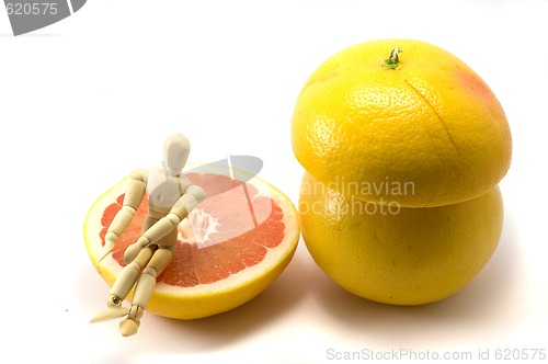Image of Woody and grapefruits