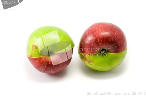 Image of Mixed red and green apples 