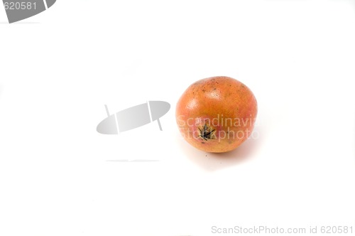 Image of Pomegranate