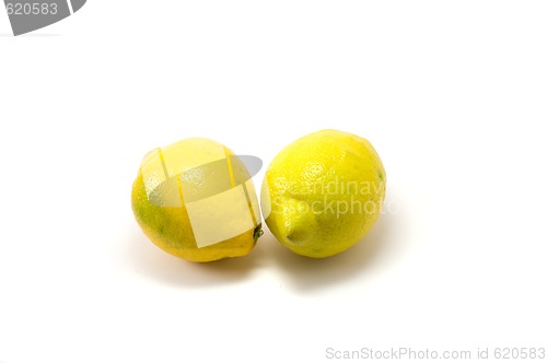 Image of Two lemons