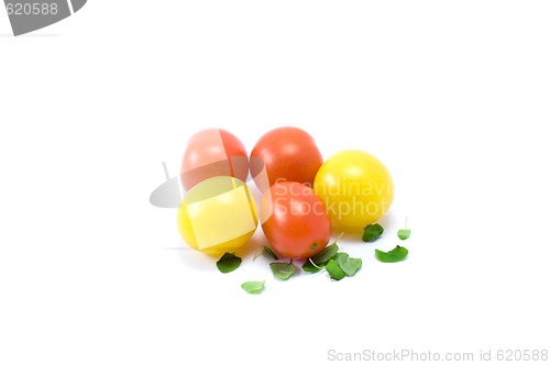 Image of Yellow and red cherry-tomatos