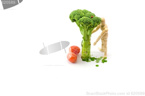 Image of Wooden man under broccoli tree