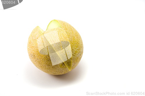 Image of Melon