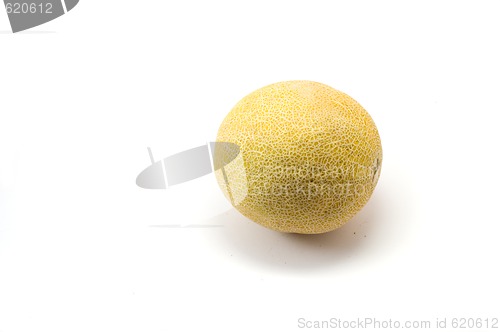 Image of Melon