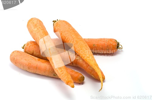 Image of Carrot
