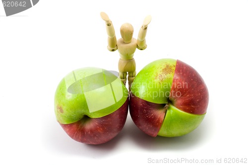 Image of Mixed red and green apples 