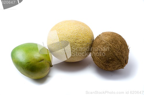 Image of Mango, melon anf coco 