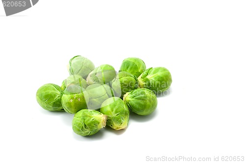 Image of Brussels sprouts