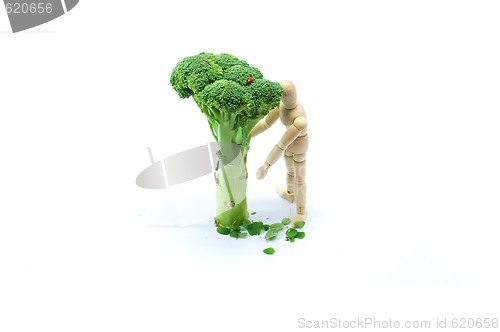 Image of Wooden man under broccoli tree 