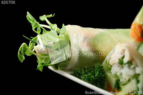 Image of Vietnamese Rice Paper Rolls