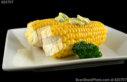 Image of Fresh Cooked Corn