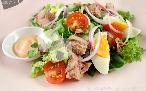 Image of Tuna And Egg Salad 
