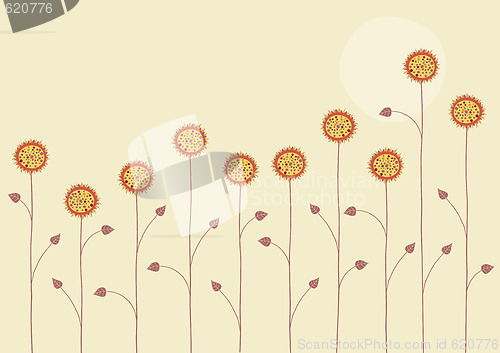 Image of summer flowers