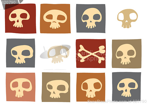 Image of funny skulls 