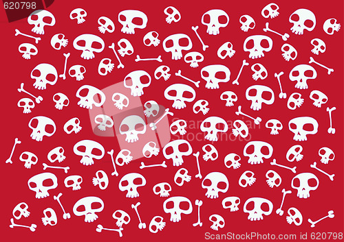 Image of funny skulls