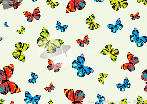 Image of funky  butterflies