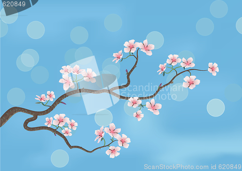 Image of flowered sakura