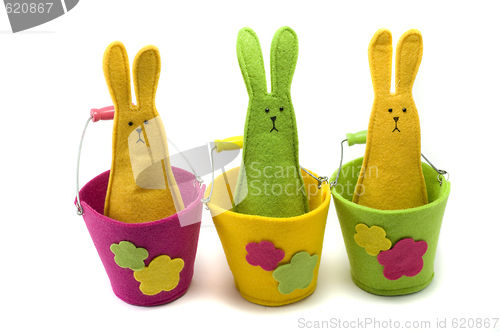 Image of Easter bunnies