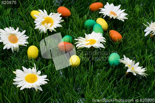 Image of Easter grass