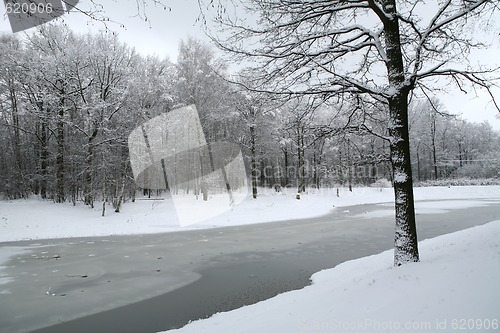 Image of winter landscape