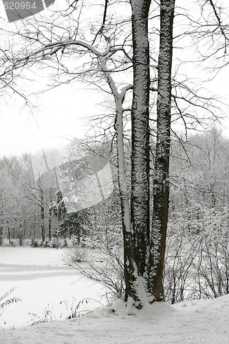 Image of warm winter day