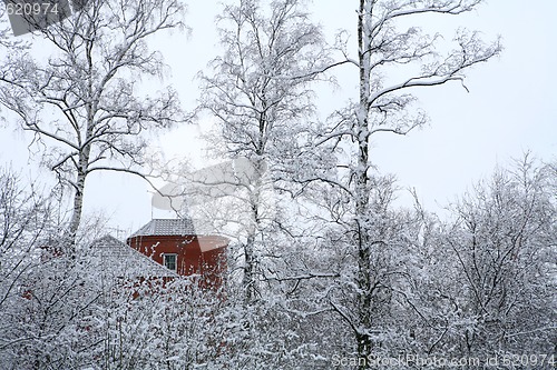 Image of red house in winter wood  