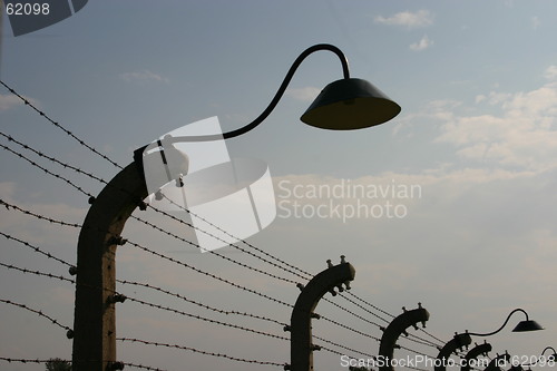 Image of The light of auschwitz