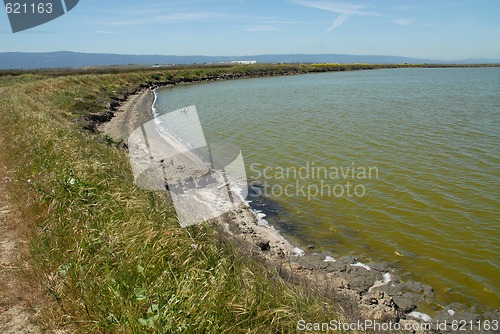 Image of Shoreline