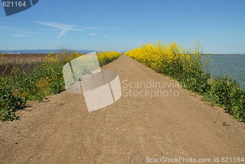 Image of Walking path